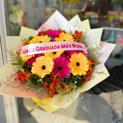 RAMO DE GEVERAS MIXTAS-10