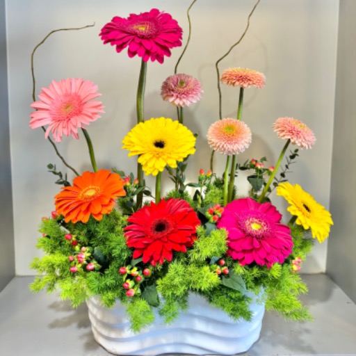 Arreglo de Gerveras mixtas 🌸
