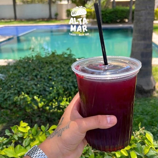 Agua de Jamaica 1 Lt