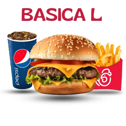 BASICA L