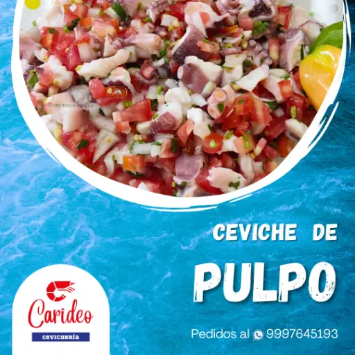 Ceviche de Pulpo