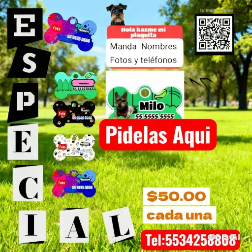 Placa para perro 1 pieza