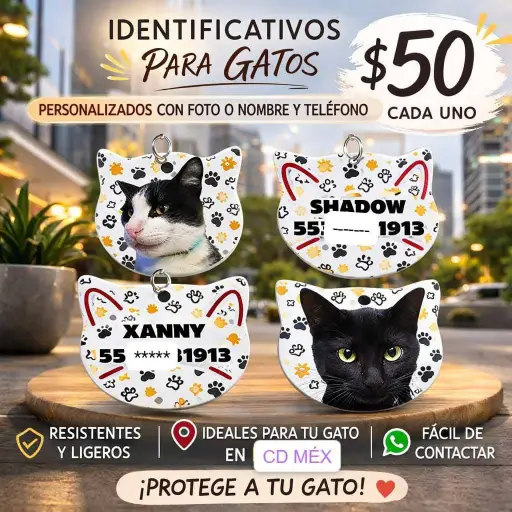 placa de gato perzonalisable