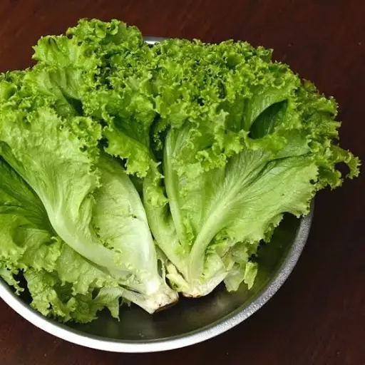 Lechuga mixta (30gr)