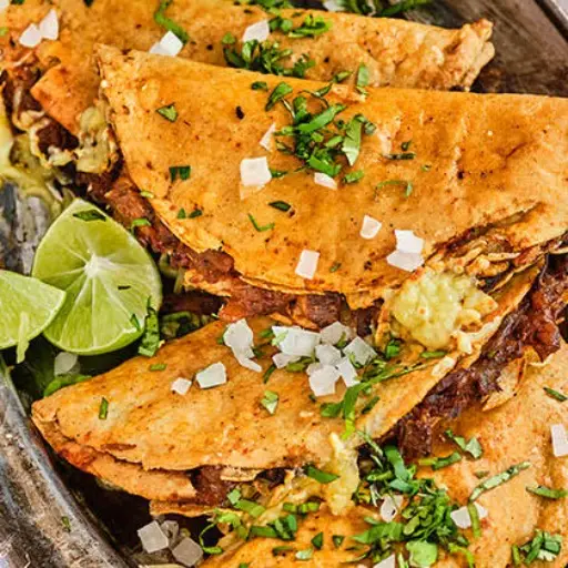 Quesabirria harina sencilla