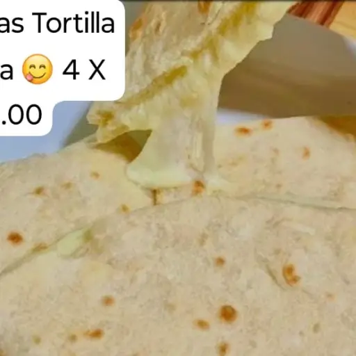 Quesadillas Con Tortilla de Harina Bisteck 