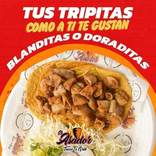 Tacos de Tripa