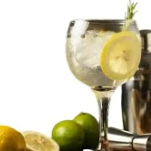 Gin tonic Citric