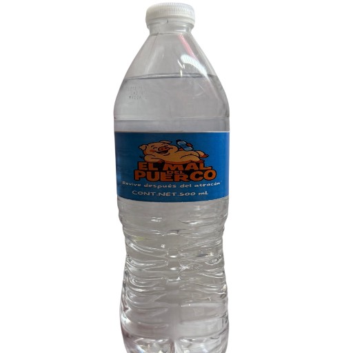 AGUA NATURAL 600 ML
