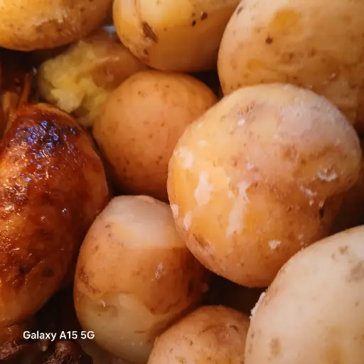 Pollo Asado y Broster