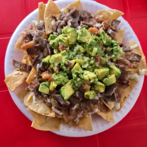 NACHOS DE ASADA