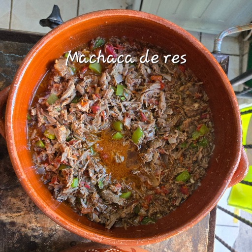 Machaca de res 
