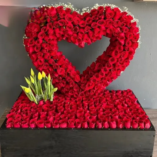 MI CORAZON 🥰🥰🌹❤️