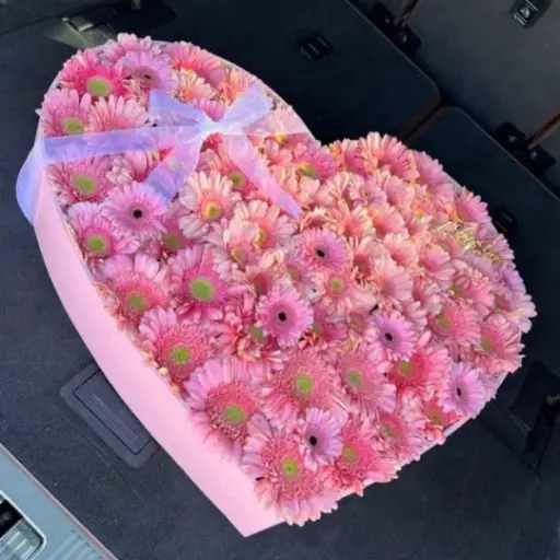 MIS GERBERAS LOVE 🩷🥰❤️