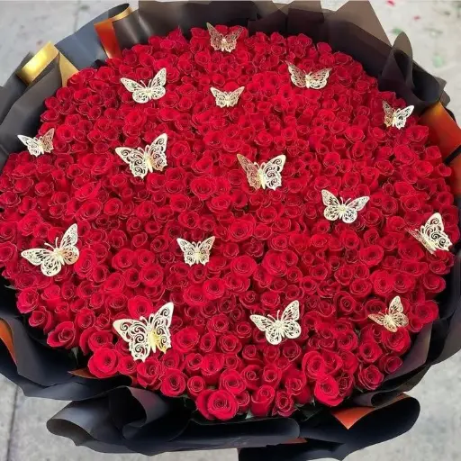 500 Rosas Amor 