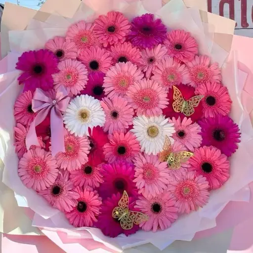 Hermosas gerberas