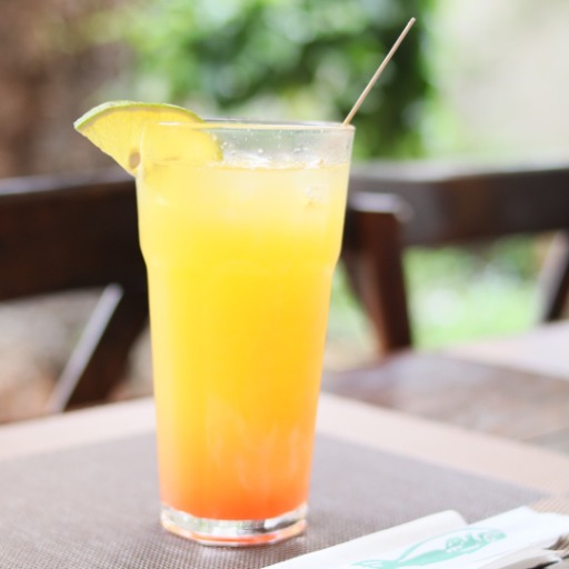 Naranjada (350ml)