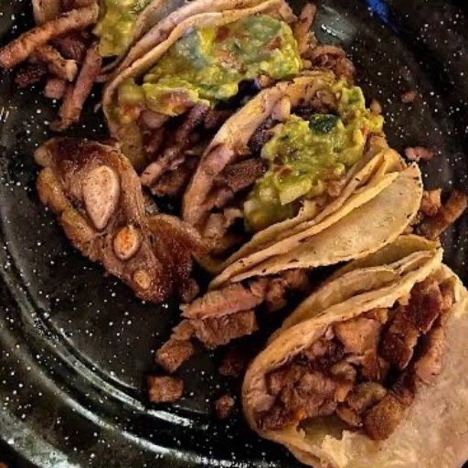 Taco de aguja norteña 