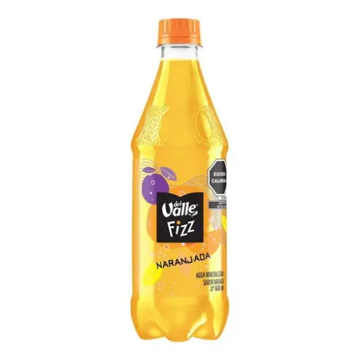 Naranjada 600ml 