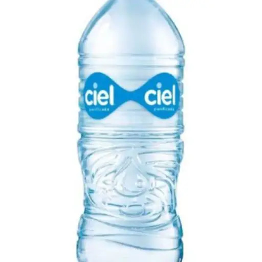 Agua Natural 1 litro 