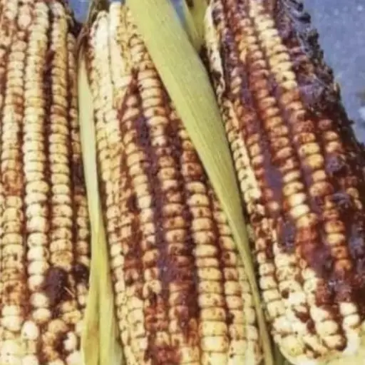 3 elotes enteros con limon y chile