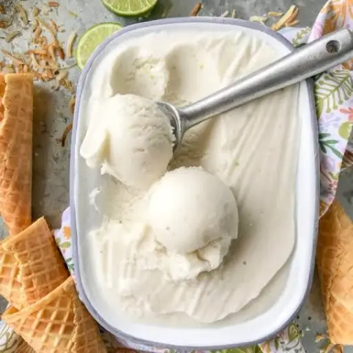 Helado artesanal de coco natural 16 oz