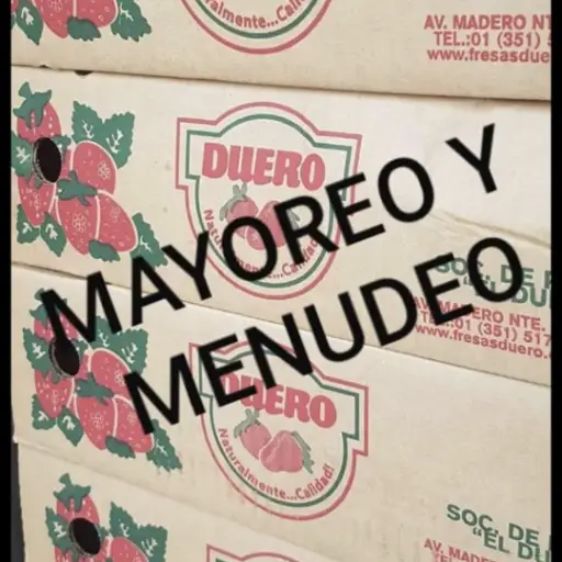 Caja de fresas duero 24 pzas