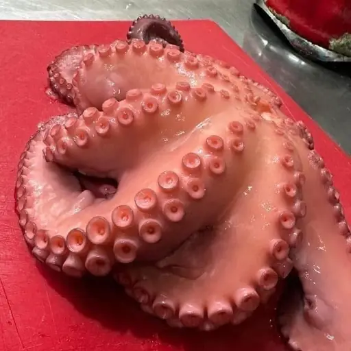 Caja de pulpo Maya 10 kilos 1-2