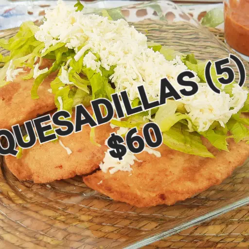 Quesadillas (5)