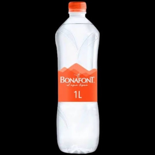 Agua 1LT 