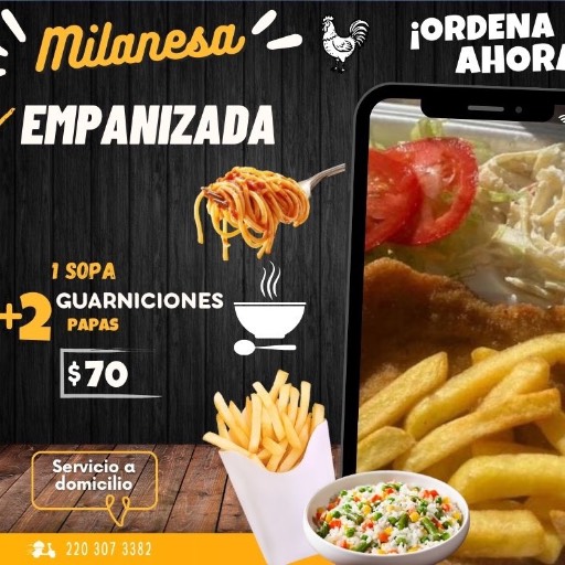 MILANESA EMPANIZADA 