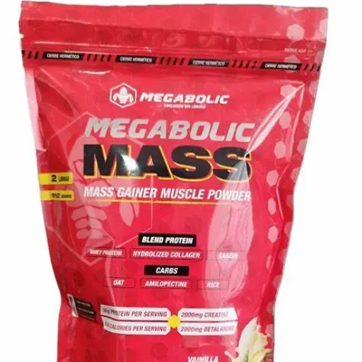 MEGABOLIC MASS
