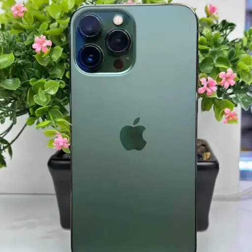 IPHONE 13 PRO MAX 256GB