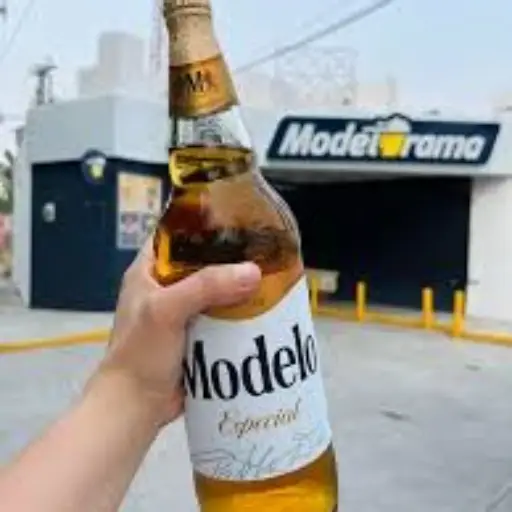 modelo especial 1.2
