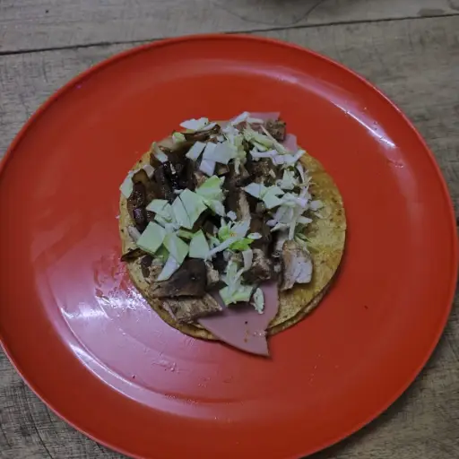 Taco Especial