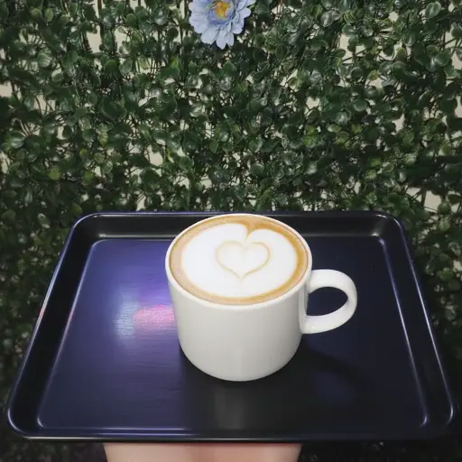 Capuchino