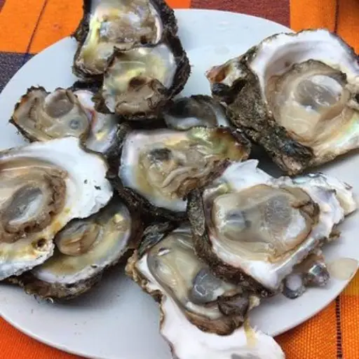 Ostiones en su concha 