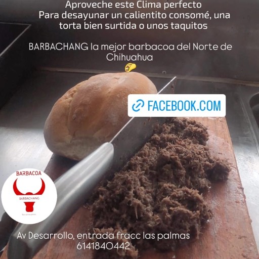 3/4 de barbacoa 