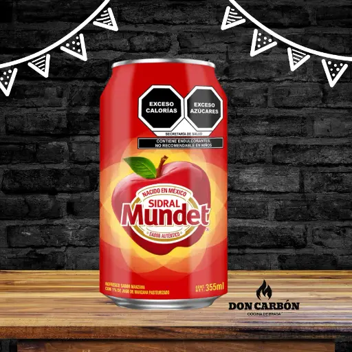 SIDRAL MUNDET Lata 235 ml