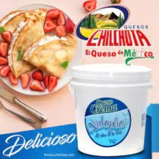 Queso Crema Vida Plus