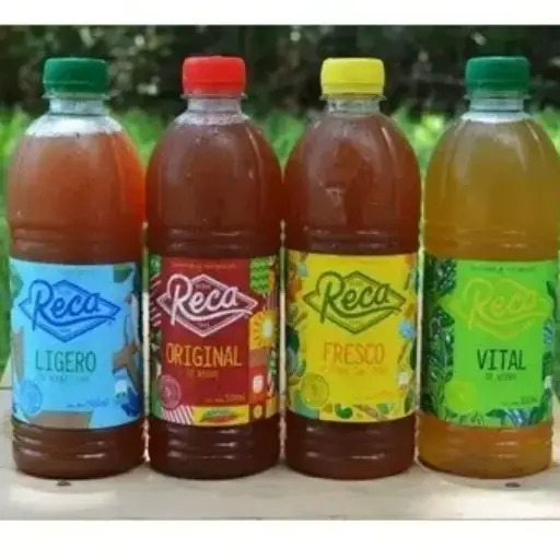 RECA (Avia) 1L
